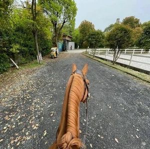 Meet your Posher, Khaleel